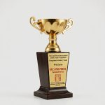 metal trophy - Metal Trophy - Metal / Wood - angled view