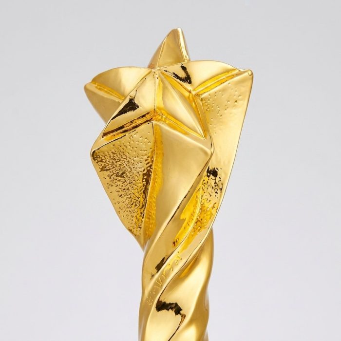 スターレジントロフィー - カスタムスターレジントロフィー - レジン - エレクトロメッキ - クローズアップ